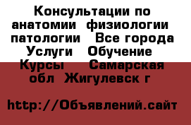Консультации по анатомии, физиологии, патологии - Все города Услуги » Обучение. Курсы   . Самарская обл.,Жигулевск г.